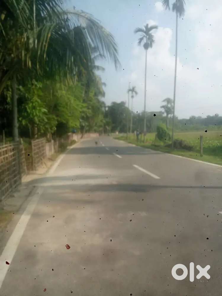 2 kotha 12 lusa . with Assam type house