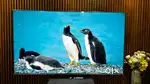 4k QLED VU Masterpiece