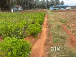 Land / Agriculture land