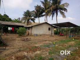 20 Guntha Agriculture Land for sale in Chiplun.