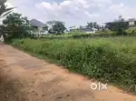 കോതമംഗലം കോഴിപ്പിള്ളി  റോഡ്  ,3.5 ലക്ഷം