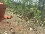 Plot for sale