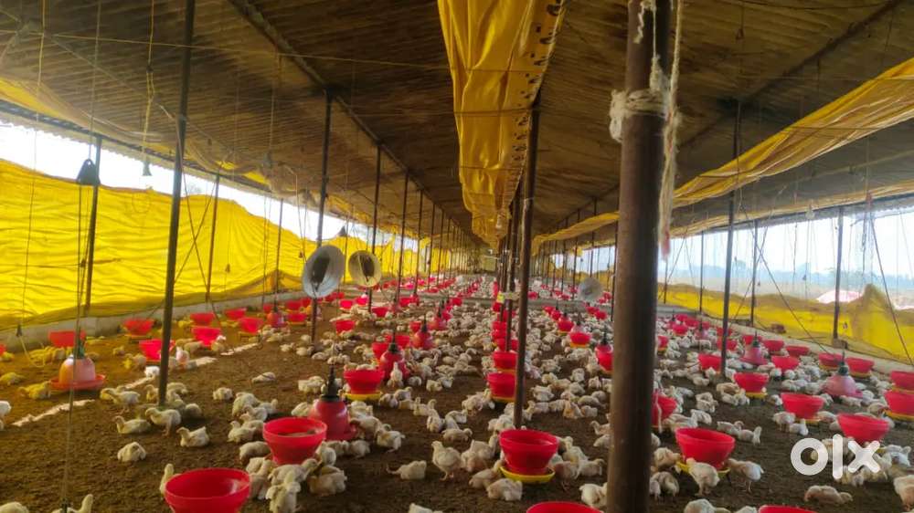 Farm Contractor with Meterial