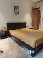 Plush, Elegant Wooden Double Bed with Mattress