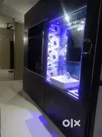 4 ac bed cupboard fridge ajwa rod