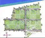 Agriculture farmland for investment purpose
