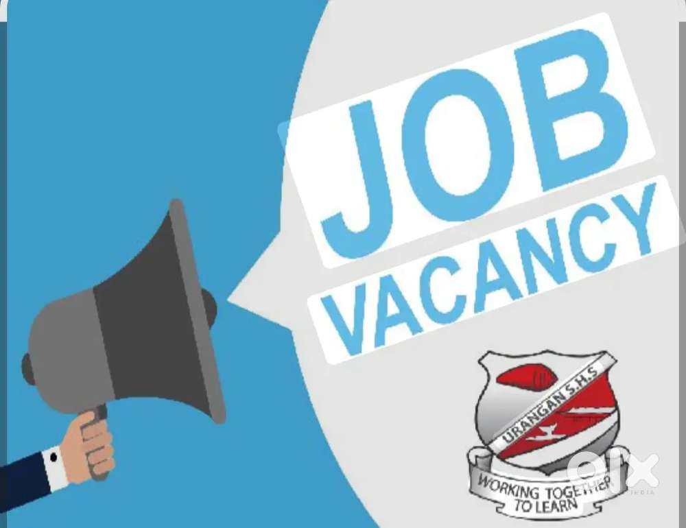 Job vacancy (Below :28)