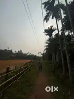Jaiga bikri kawaban area registered jaga