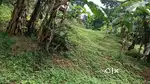 Land for sale housing