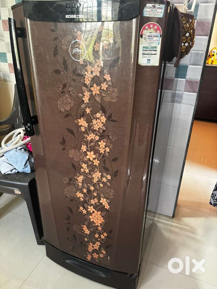 Godrej Edge Digi fridge