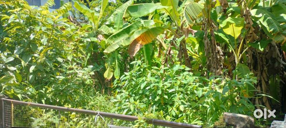 Residential Land-10 cent for sale near Kerala Varma college, Westfort