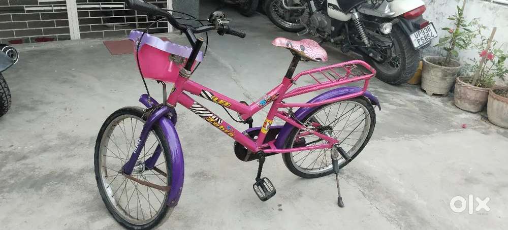 One year old, very smooth and supporter also available