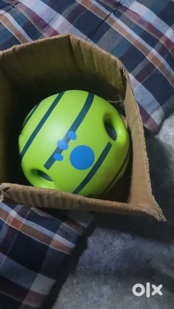 Sound ball for pets