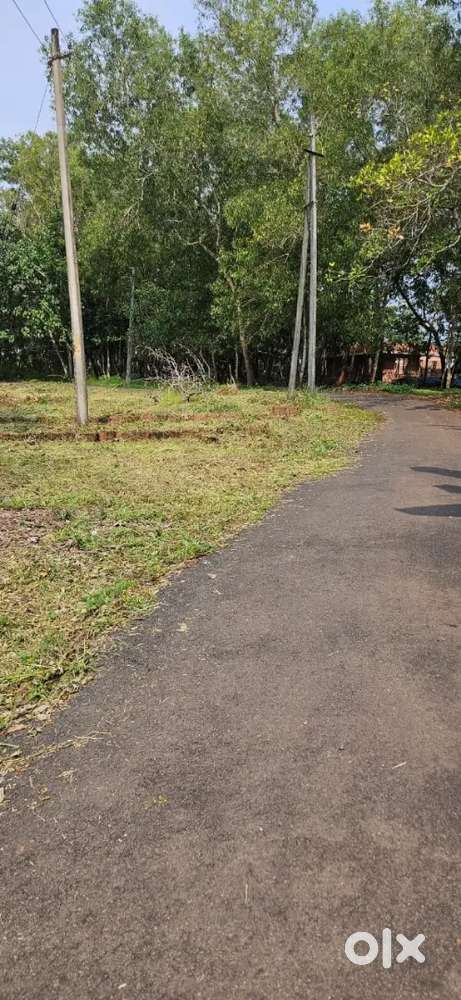1 acre Level Land at  Pariyaram NH 2 km