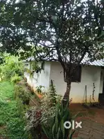 3 bedroom house , 20 cent plot