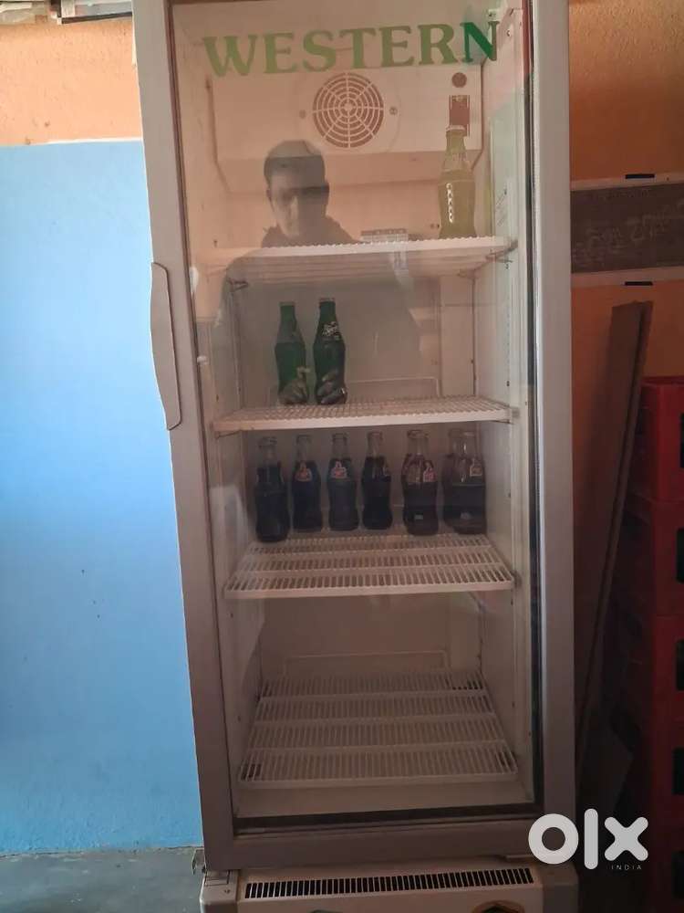 Fridge wedtern