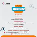 Sales Executive