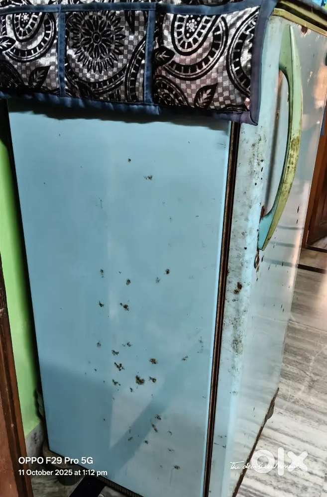 Kalvinetor fridge