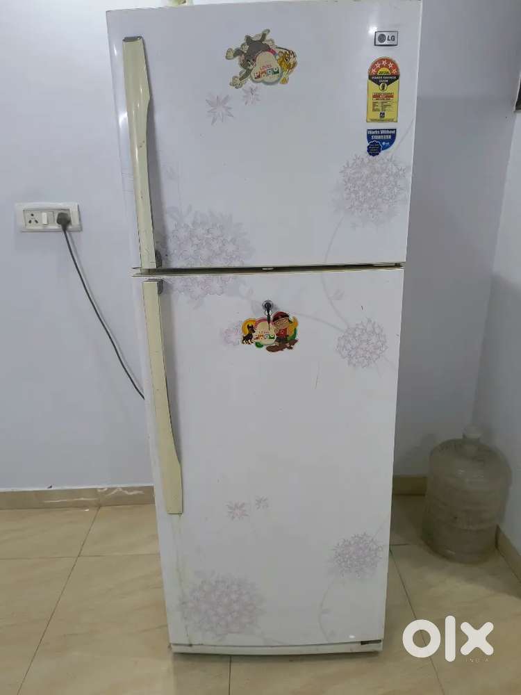 LG double door fridge