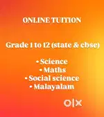 Online Tuition