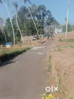 ചങ്ങനാശ്ശേരി  കോട്ടമുറിയിൽ ഹൗസ് പ്ലോട്ടുകൾ