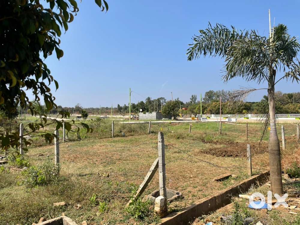 Covered in HDMC in Kelageri Dharwad