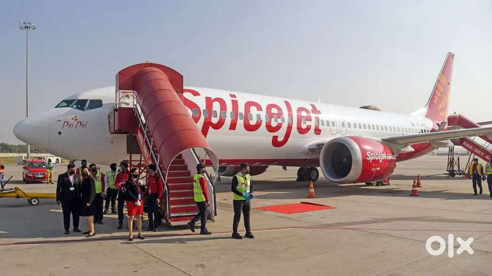 Various Jobs in Airport Ground Staff And Cabin Crew.