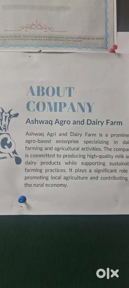 New mnc campeny recruitments on telicalar HR seles excutiv