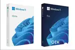 Windows/Linux OS Install & Activation – Fast, Reliable Service