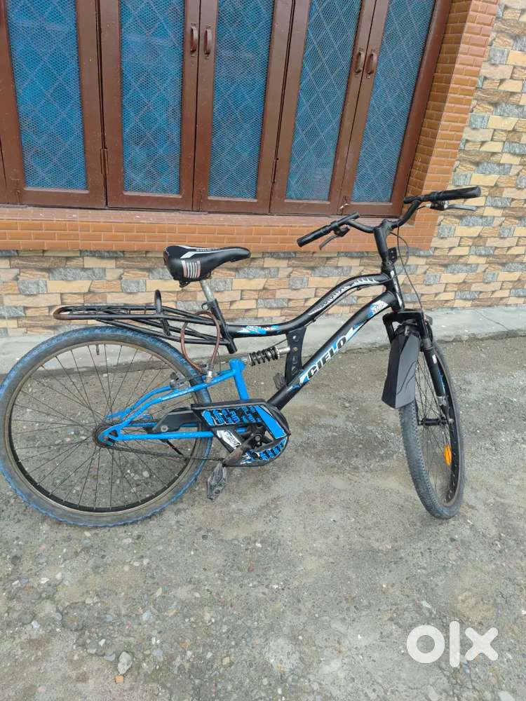 Neelam cycle