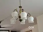 Shandlare ceiling