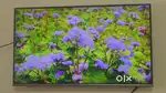 Sumsung 40in led no Android