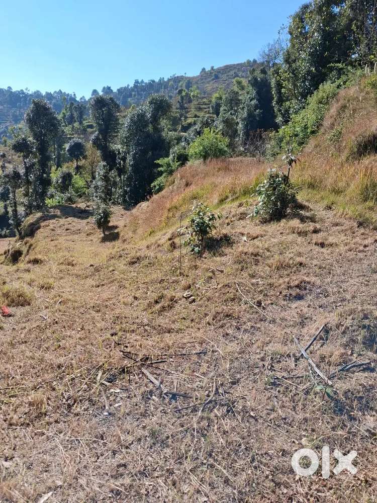 East facing plot with best sun rise ,valley view & natural watersource