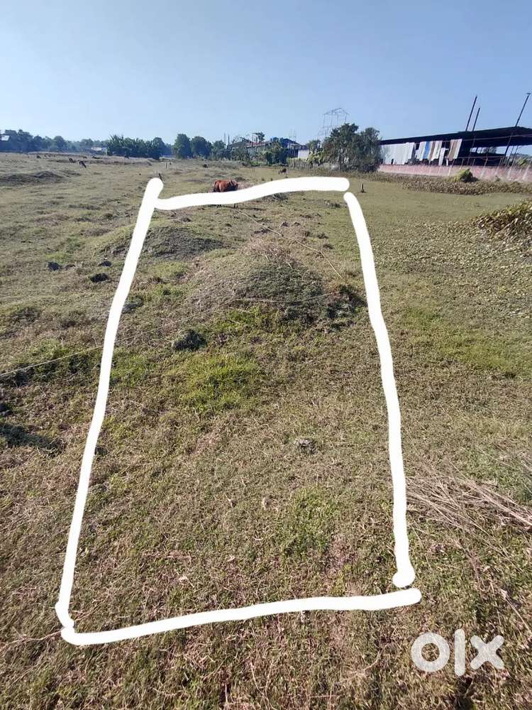 Land for sale - Pathsala near Railway station