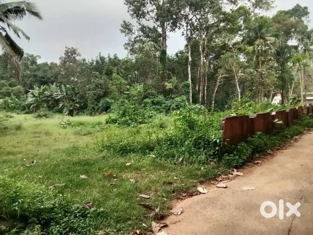 pampady .16 cent house plot.1.25 .lakh.