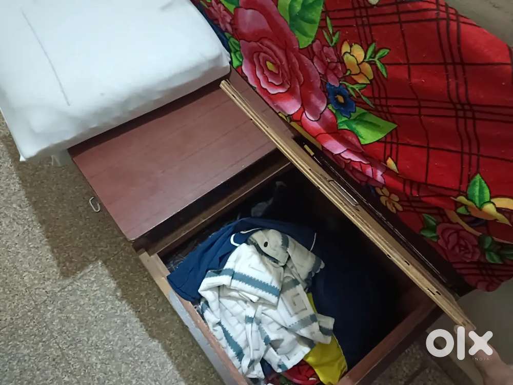 Sofa cum storage