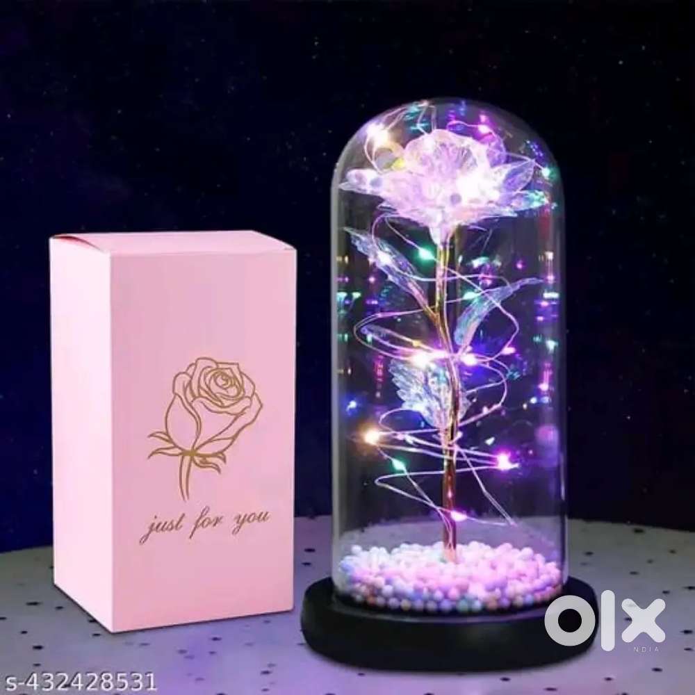 Rose flower gift in glass dome