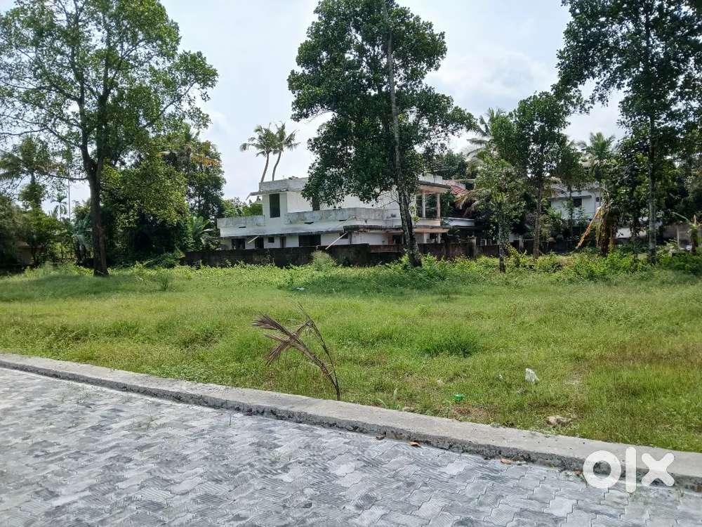 Aluva  house polot 5 cent.8 cent10 for sael