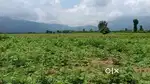 Low budget farming land required 2-3 acre