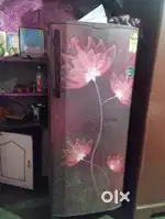 Fridge and deep freezers