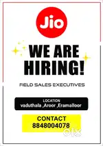 Field sales executive