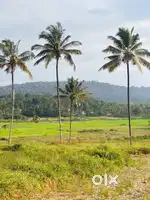 സുൽത്താൻ ബത്തേരിയിൽ വീട് നിർമ്മിക്കാൻ അനുയോജ്യമായ സ്ഥലം വിൽപ്പനയ്ക്ക്