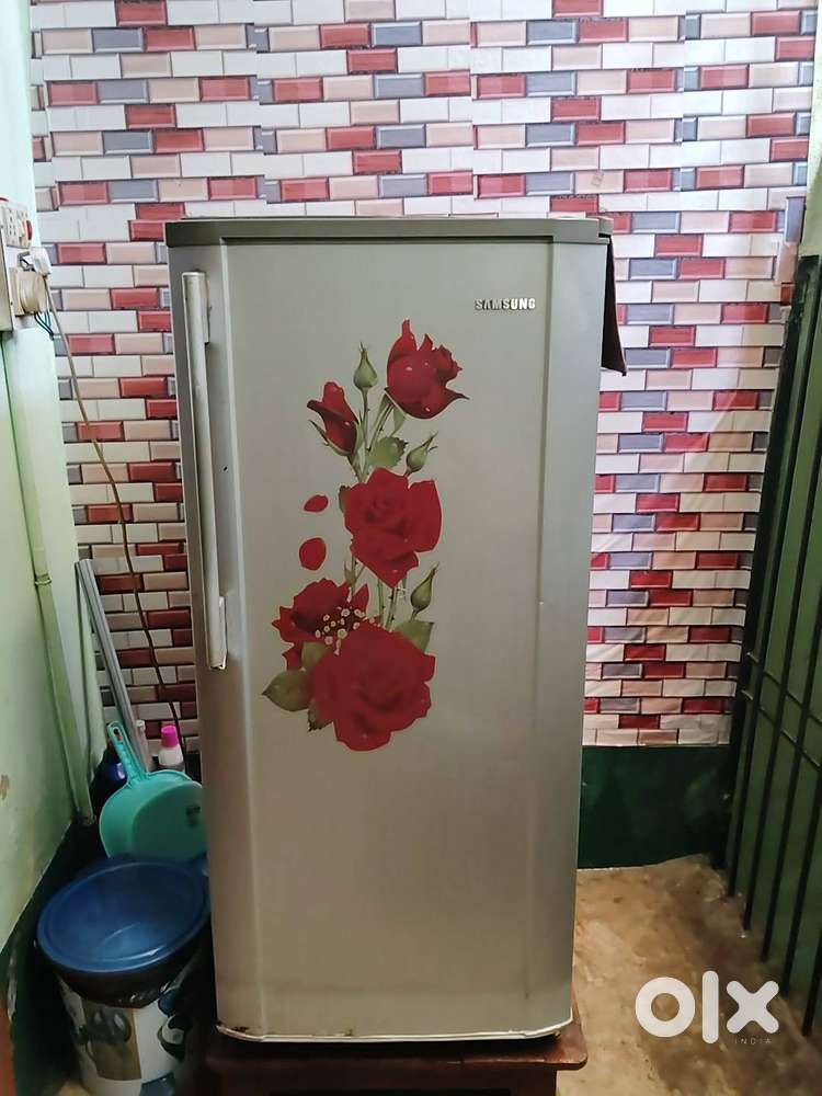 Samsung fridge