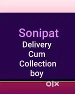 Delivery boy