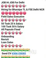 Field sales executive