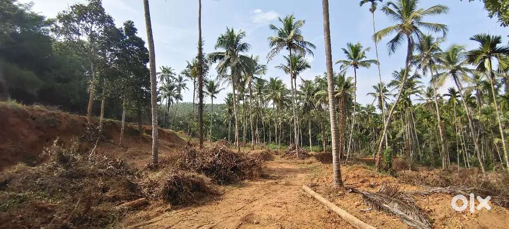 97 cents for sale near ulliyeri town,89000 per cent