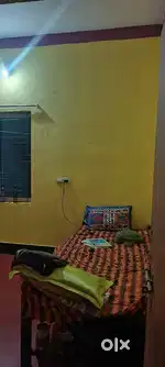 Need a girl roommate