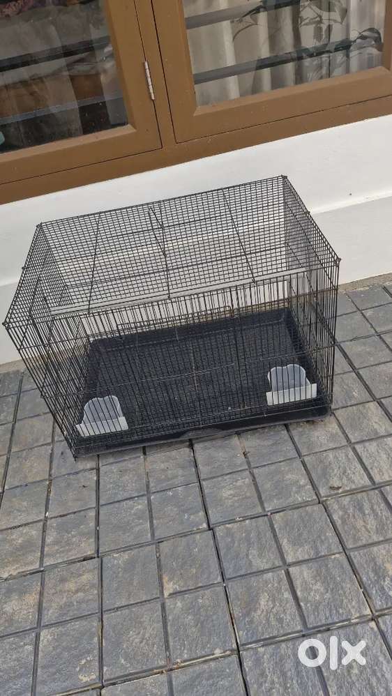 Cage for birds