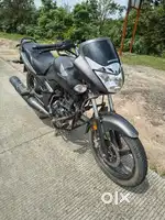 Mint condition unicorn for Sell