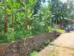 Piravom onakoor 20cent padam frontage houeplot 400 mtr from busrout
